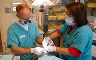 Dentista